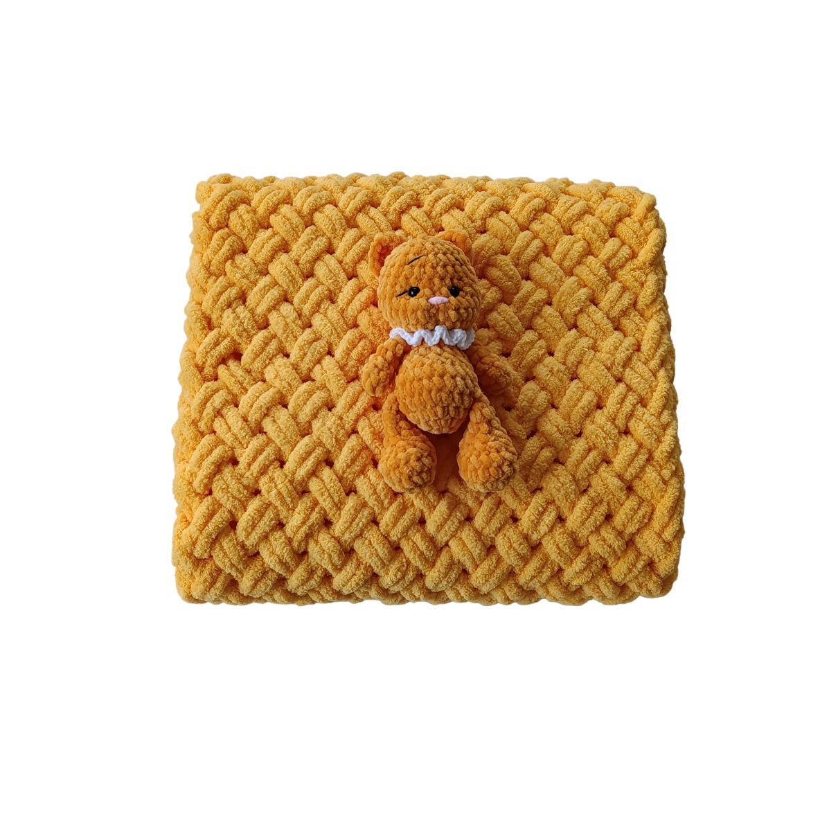 Meškiukas su pleduku